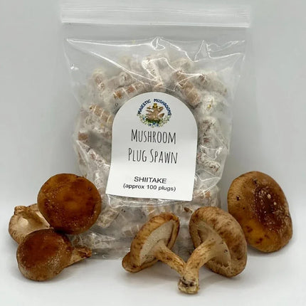 100 Shiitake Mushroom Plug Spawn – Easy Log Inoculation - Seed World