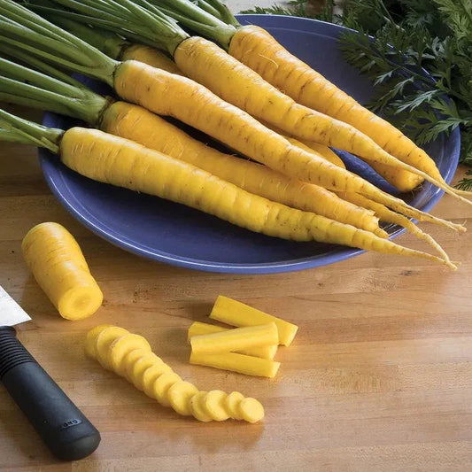 1000 Yellowstone Carrot Seeds - Seed World