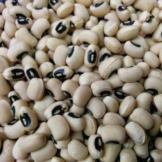 California Blackeye Cowpea Seeds - Seed World