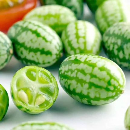 15 Cucamelon Seeds - Seed World