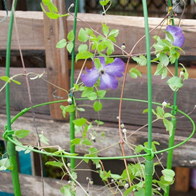 2 Climbing Plant Support Cages - Seed World
