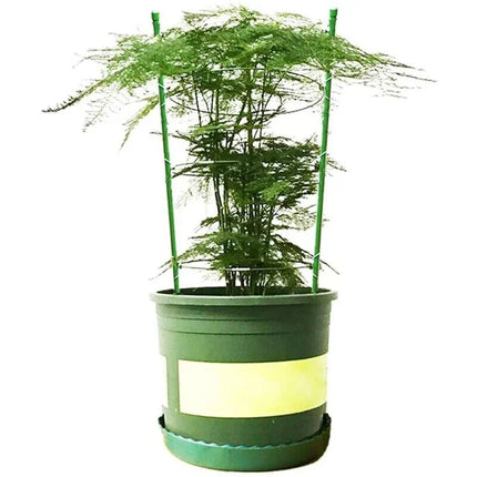 2 Climbing Plant Support Cages - Seed World