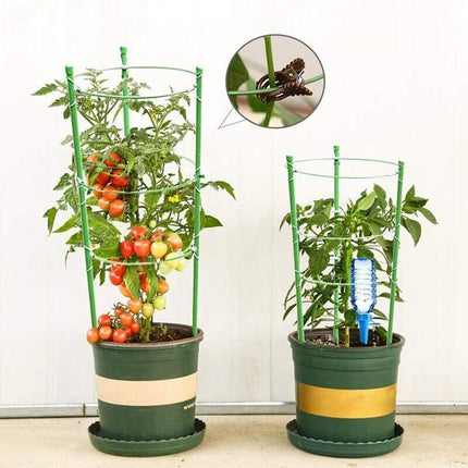 2 Climbing Plant Support Cages - Seed World