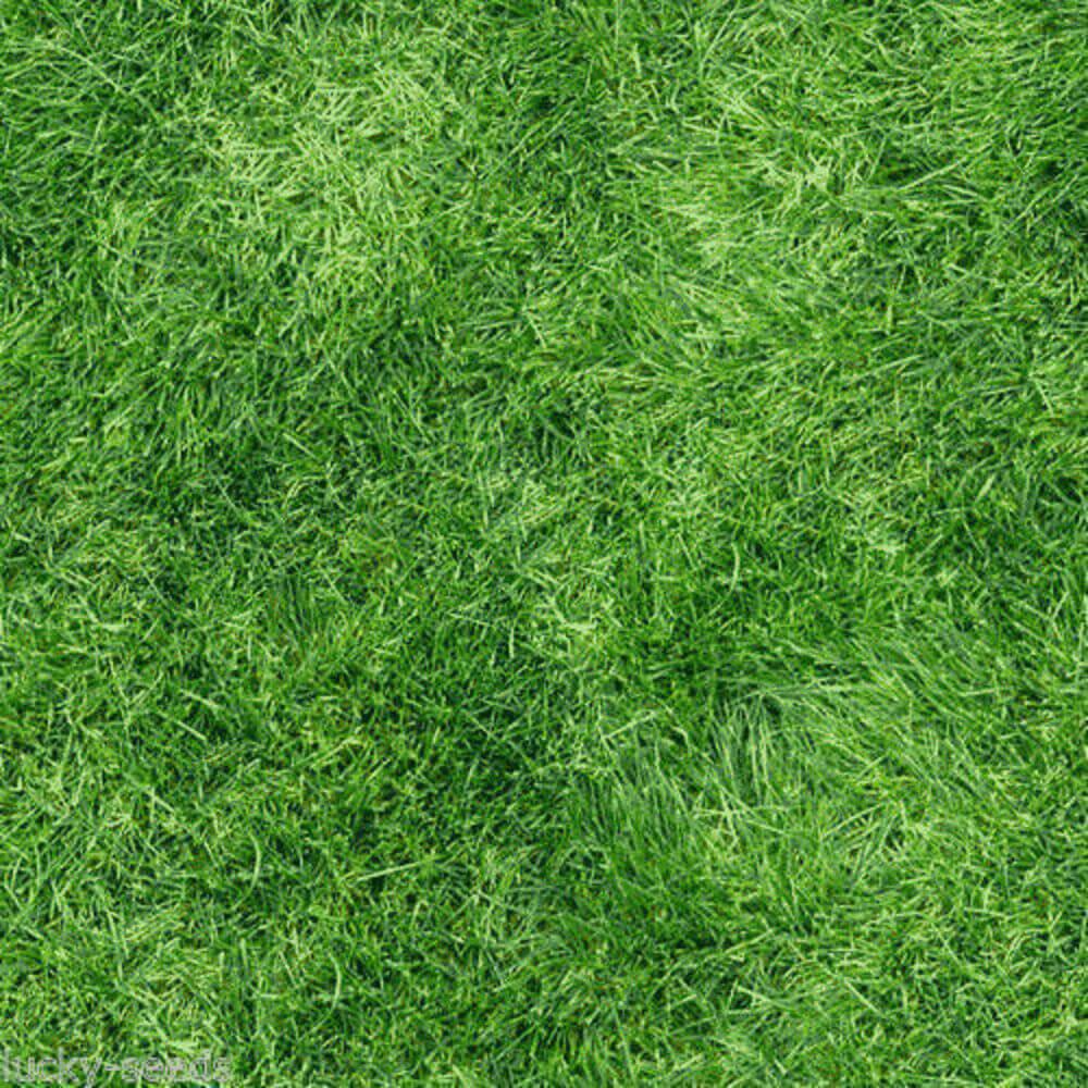 Close-up of green artificial grass texture