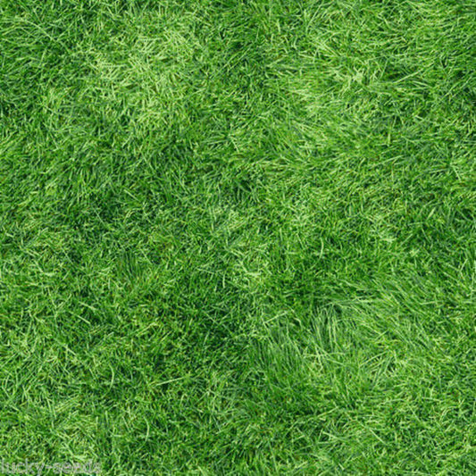 Close-up of green artificial grass texture