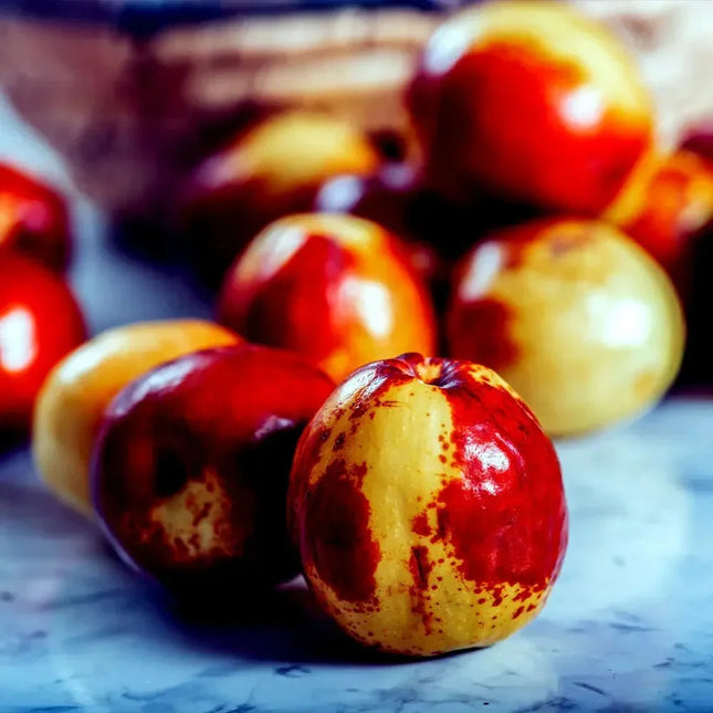 20 Jujube Fruit Tree Seeds - Seed World