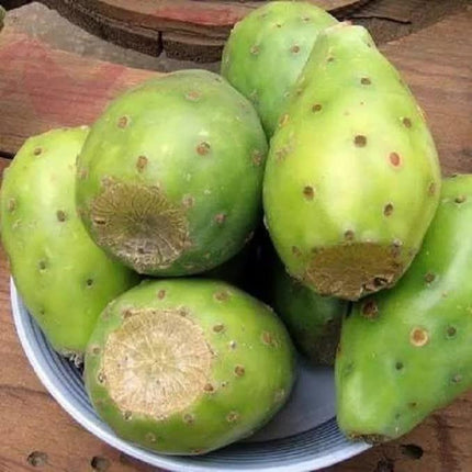 20 Nopal Edible Cactus - Prickly pears Seeds - Seed World