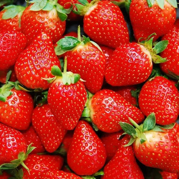 climbing strawberry tree seeds 200 Climbing Strawberry Seeds – Seed World