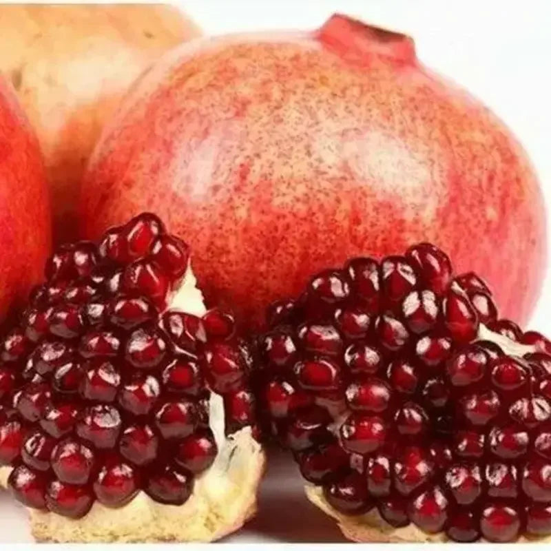 25 Pomegranate Seeds - Seed World