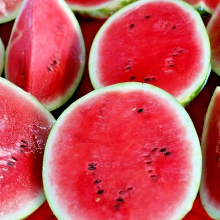 25 Sugar Baby Watermelon Seeds - Seed World