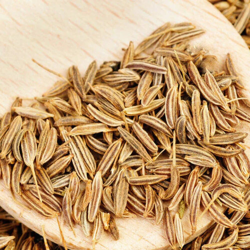 250 Cumin Seeds | Non-GMO | Herb Seeds - Seed World