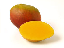 2 Mango Fruit Tree Seeds