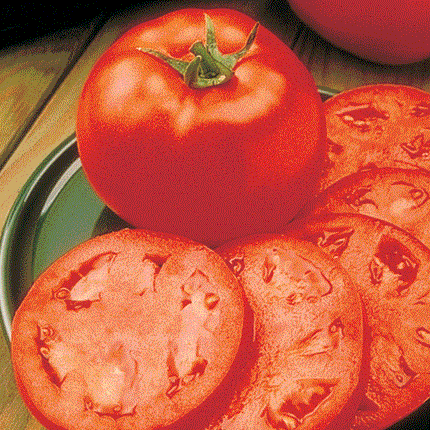 30 Giant Oxheart Tomato Seeds - Seed World