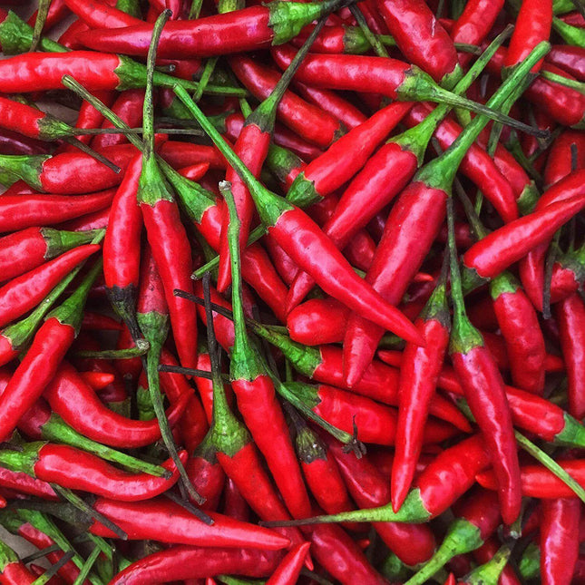 30 Thai Hot Pepper Seeds | Non-GMO - Seed World