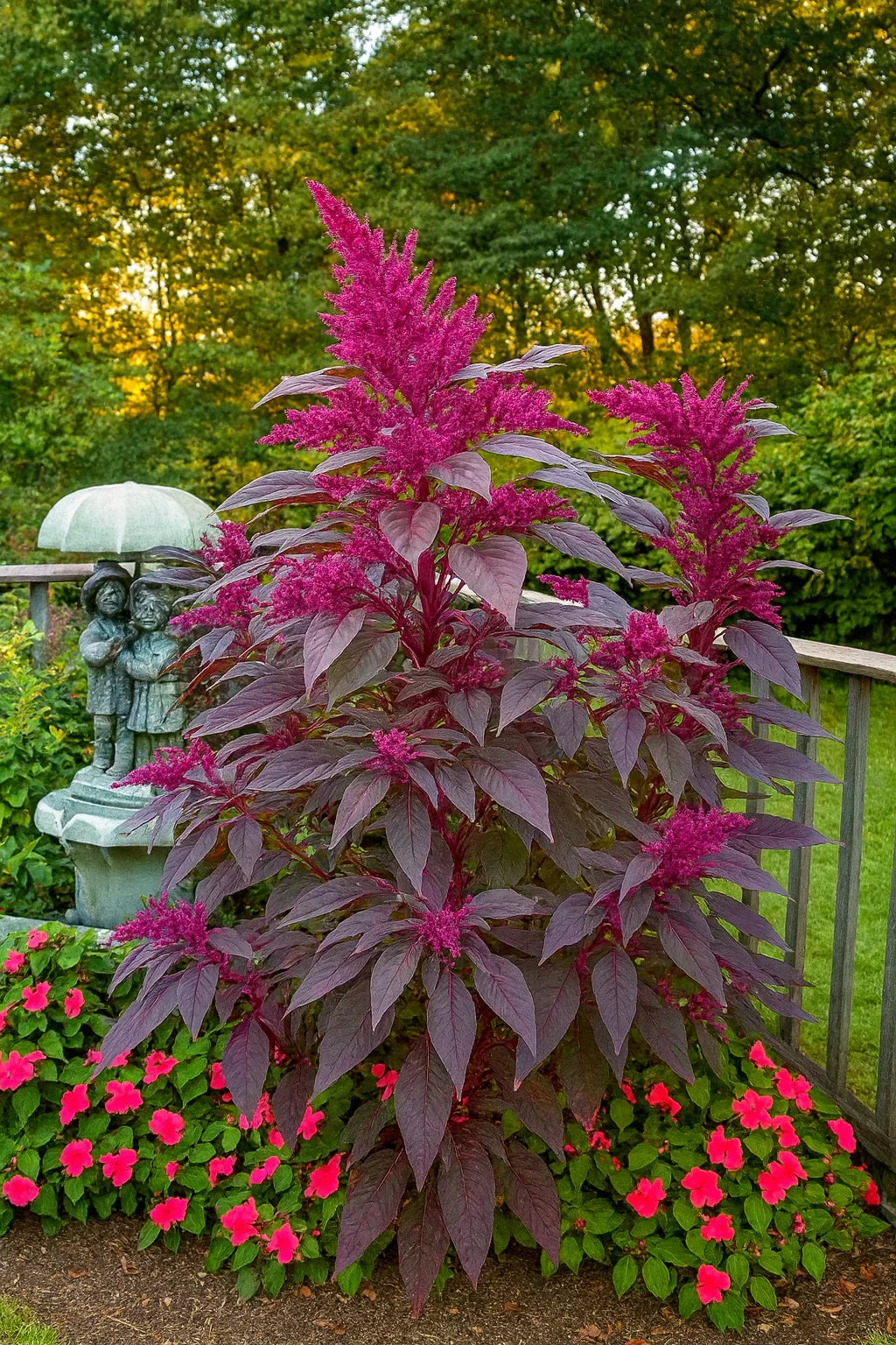 50 Bright Purple Amaranth Mix Seeds - Seed World
