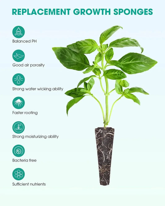 50 Grow Sponge - Hydroponics Replacement Growth Kit - Seed World