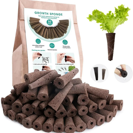 50 Grow Sponge - Hydroponics Replacement Growth Kit - Seed World