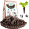 50 Grow Sponge - Hydroponics Replacement Growth Kit - Seed World