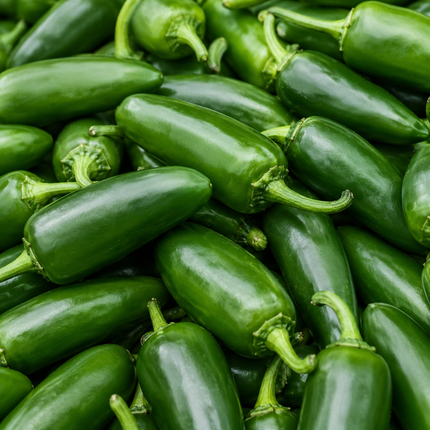 Jalapeño pepper seeds and mature fruit product reference