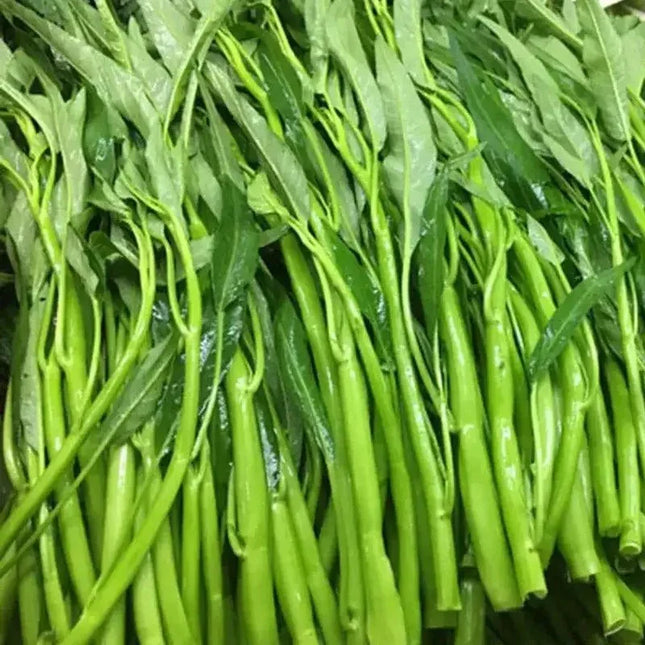 50 Water Spinach Seeds - Seed World