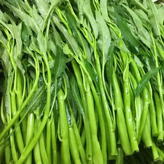 50 Water Spinach Seeds - Seed World