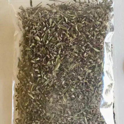 5000 Creeping Elfin Thyme Seeds - Seed World