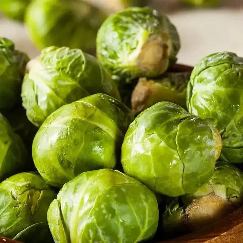 600 Brussel Sprout Seeds - Seed World