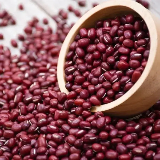 100 Adzuki Soybean Seeds for Planting - Red Beans