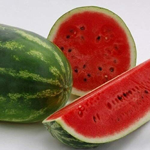 All Sweet Watermelon Seeds - Seed World