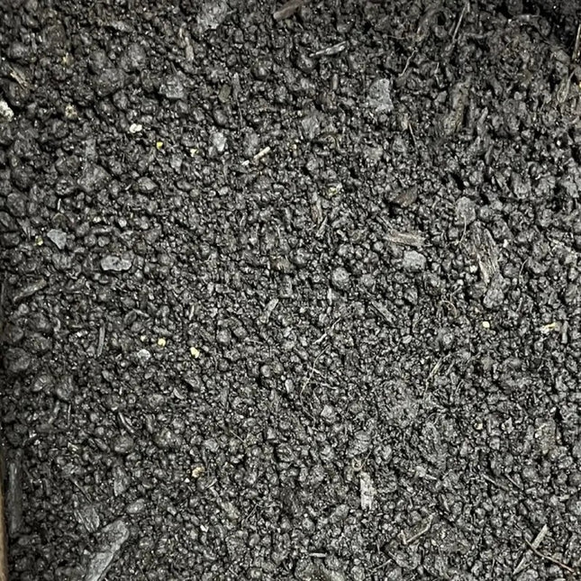 Best Organic Worm Castings Soil Enhancer – Odorless Natural Fertilizer