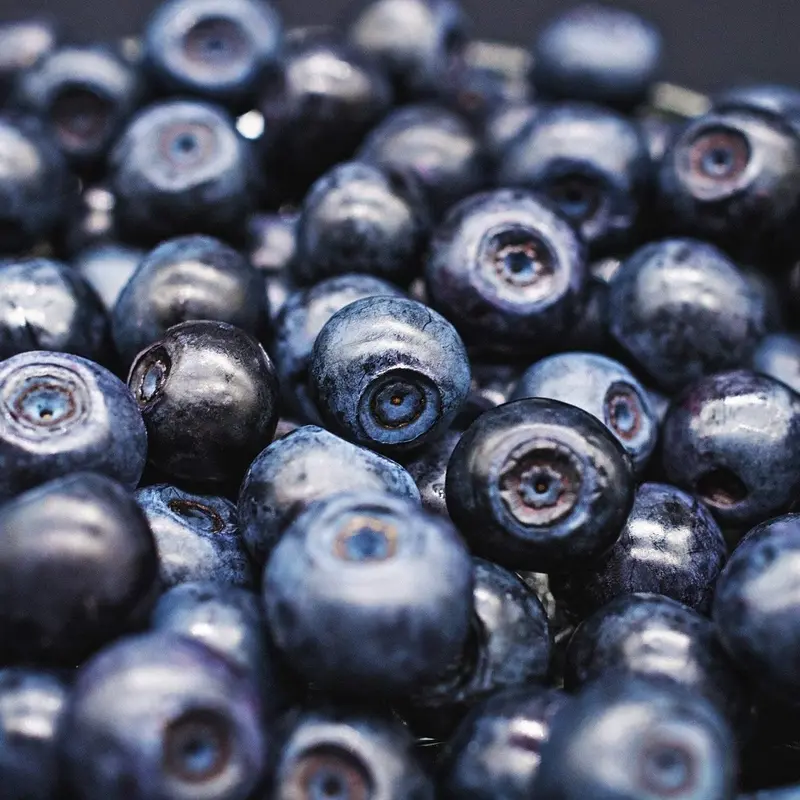 20 Common Bilberry Dwarf Shrub Seeds