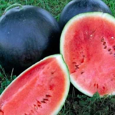 Black Diamond Watermelon Seeds - Premium Seeds for Growing Sweet and Striking Watermelons - Seed World