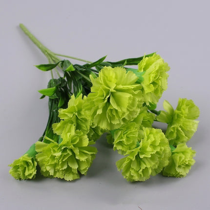Bright Green Carnation Seeds – 100 Seeds