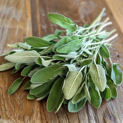 Premium Broadleaf Sage – Fresh Organic Heirloom Seeds