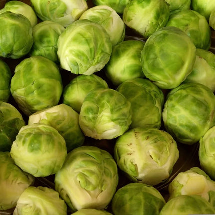 Fresh Brussels Sprouts with firm green heads, perfect for home vegetable gardens, healthy harvests, and fresh cooking. Seed World