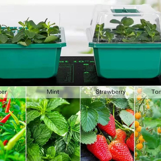 Reusable 72-Cell Seed Starter Tray Kit with Humidity Dome & Drainage