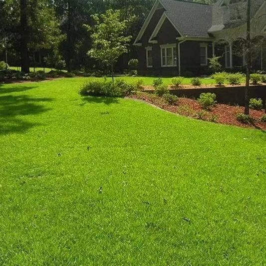 Well-maintained front yard with lush Centipede grass lawn in residential landscape
