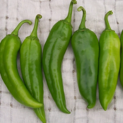 Chili Pepper Seeds Collection – 12 Heirloom Varieties | Non-GMO