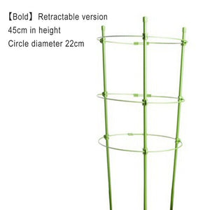 Climbing Plant Support Cages