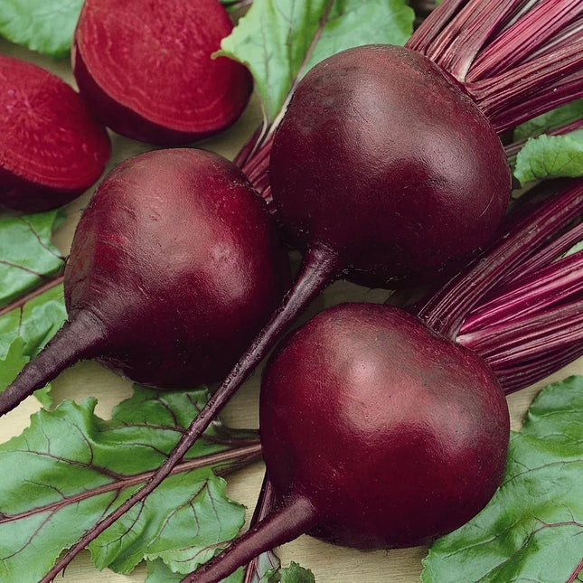 1200 Detroit Dark Red Beet Seeds |  Non-GMO - Heirloom