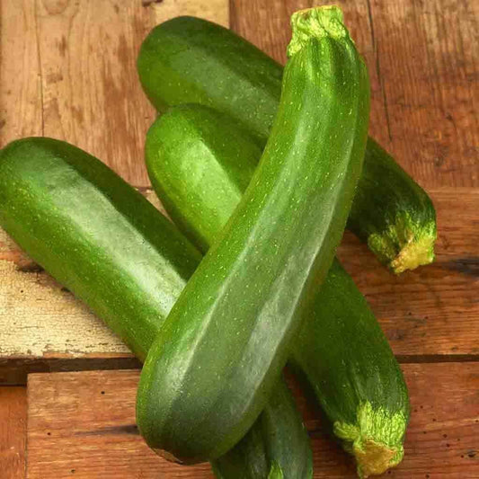 100 Dark Green Zucchini Squash Seeds