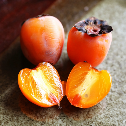 American Persimmon Tree Seeds | Diospyros Virginiana | Heirloom Fruit Tree