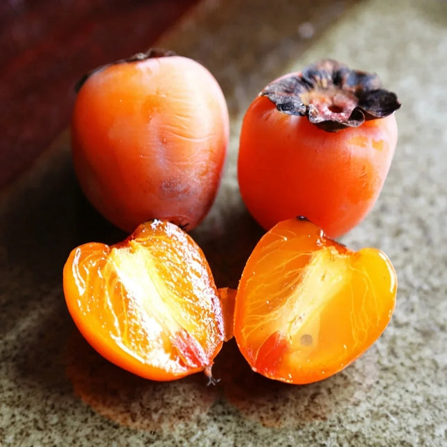 American Persimmon Tree Seeds | Diospyros Virginiana | Heirloom Fruit Tree