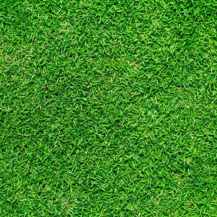 70,000 Premium Bermuda Grass Seed – Unhulled w/ Moisture Retaining Coating