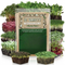 12 Variety Microgreens Starter Pack with fresh colorful microgreens for home gardening and healthy meals. Seed World