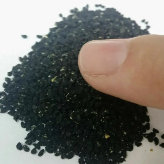 Hand holding a pile of dark-colored seeds on a white background