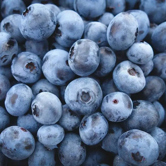 Close-up of frozen blueberries with a dark background