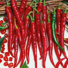 Cayenne Long Slim Red Pepper Seeds