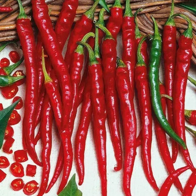 Cayenne Long Slim Red Pepper Seeds