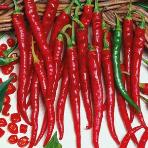 Cayenne Long Slim Red Pepper Seeds